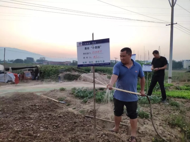 1579664440123354.jpg c2.webp.jpg