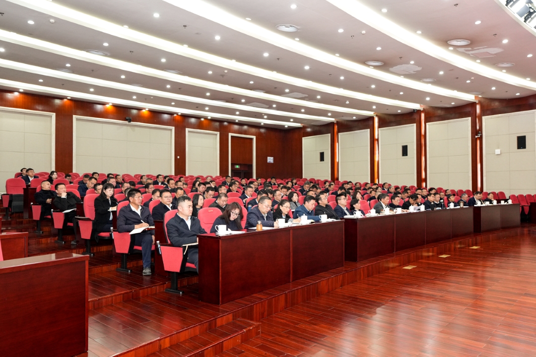 1768874157963536.jpg 5.jpg